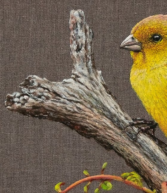 The Bird. Yellow Canary.