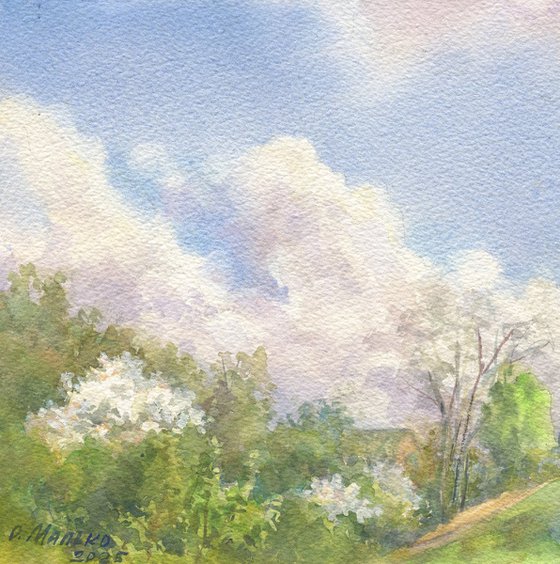 Spring Clouds