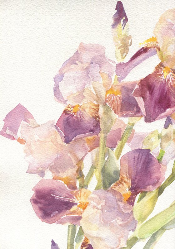 Irises wave / ORIGINAL watercolor 22x15in (56x38cm). (Flowers on a white background)