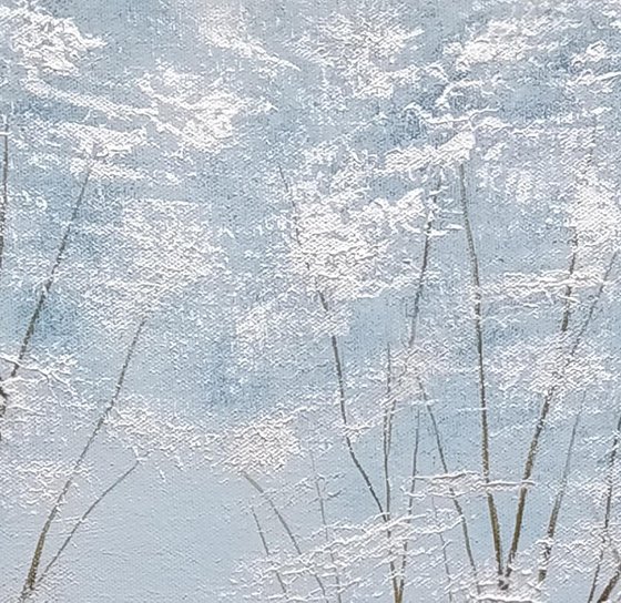 Silver Moon Glade