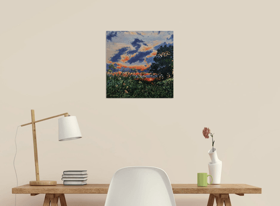 Evening Light - Sunset