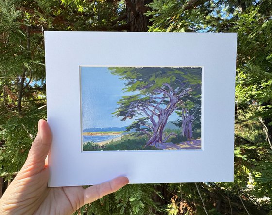 Carmel Beach Park Stroll