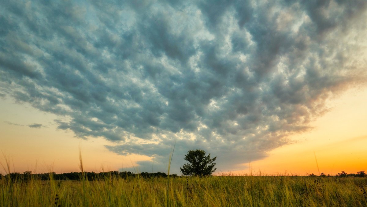 Inspired by the sky by Vlad Durniev