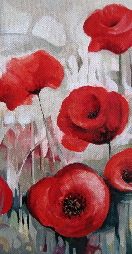 Poppy flowers by Elena Oleniuc