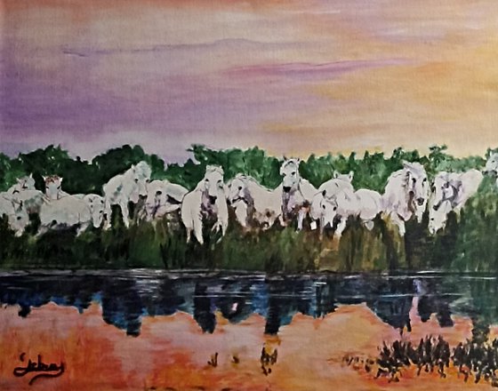 White horses and reflections