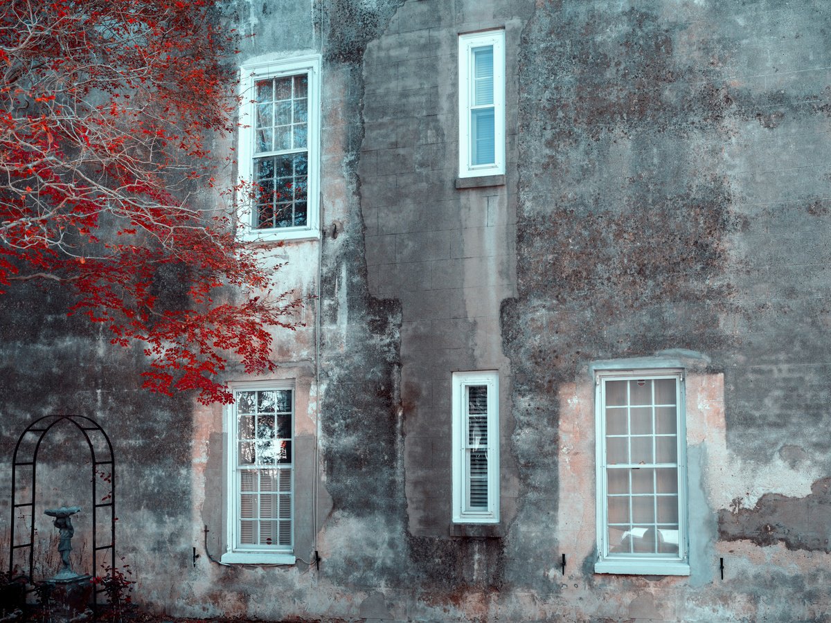 AUTUMN IN CHARLESTON II by Harv Greenberg