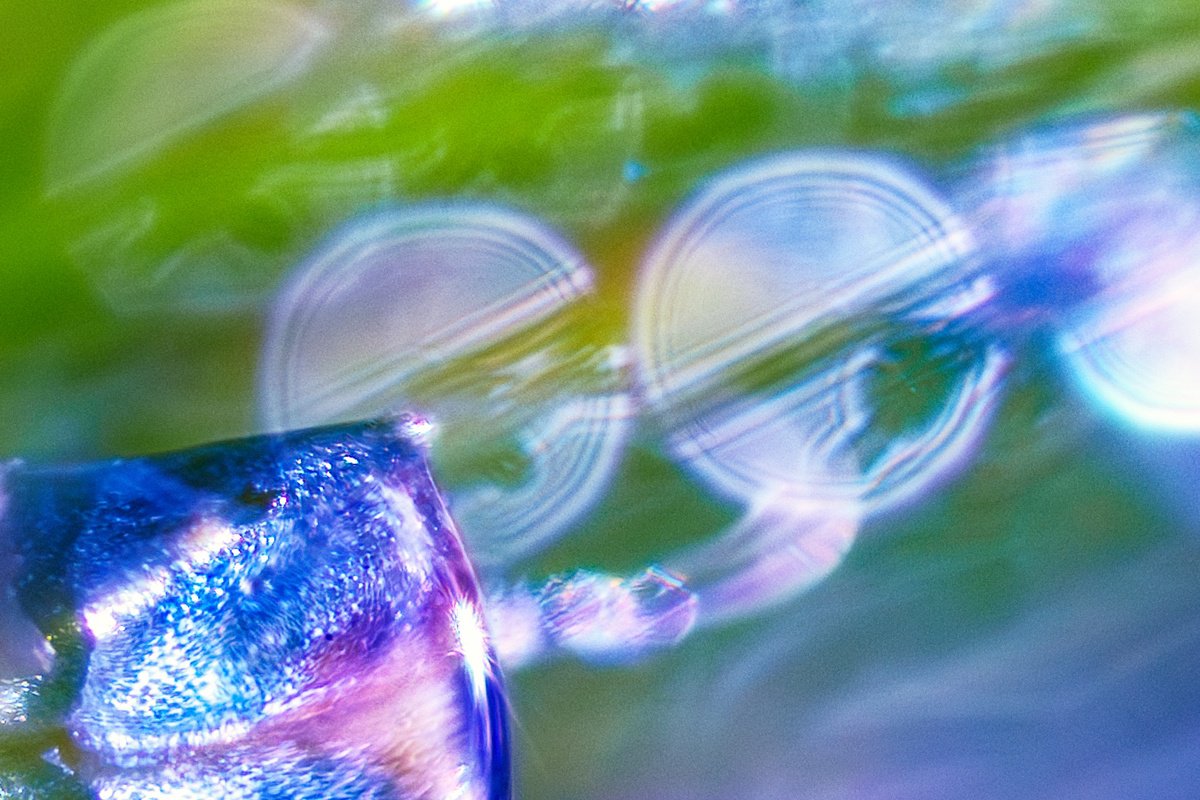 Organic Abstract Photograph By Inna Etuvgi, 17 X 21, The Watcher - Fine Art Print, Original Artwork