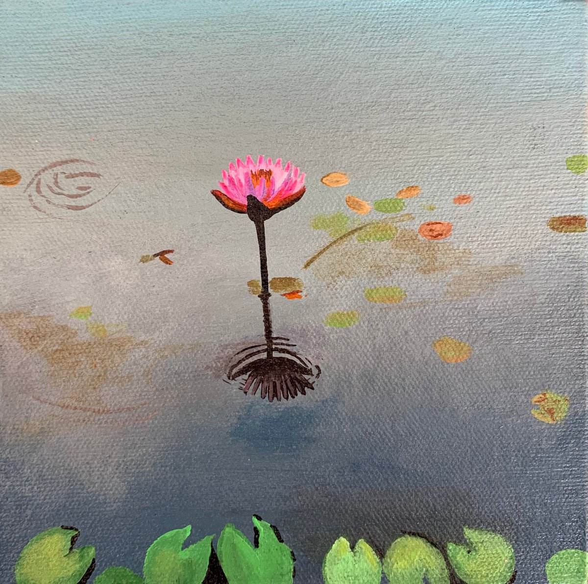 Pink water lily! Miniature painting by Amita Dand