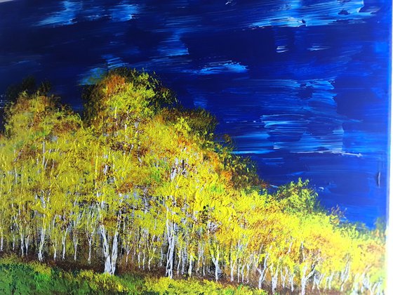 Autumn birch forest