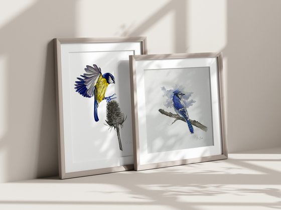 Blue Tit And Thistle