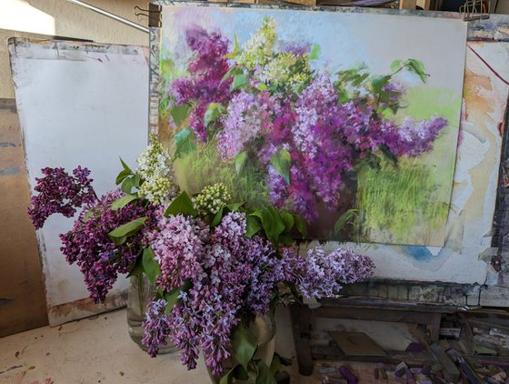 Lilacs 2`24