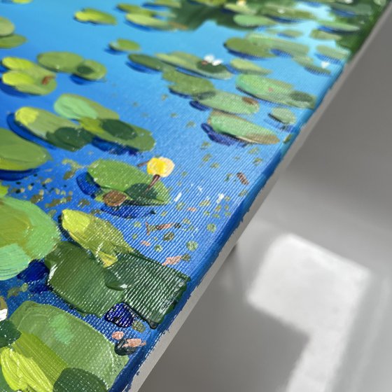 Water lilies on the mirror