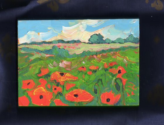 Poppies in a Norfolk Landscape