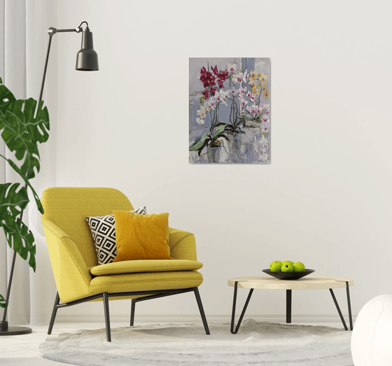 Blooming Colorful Orchids