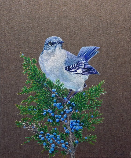 Juniper Watcher