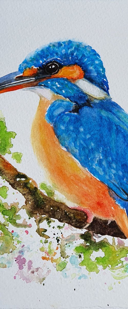 Kingfisher In Watercolour by Denise Laurent