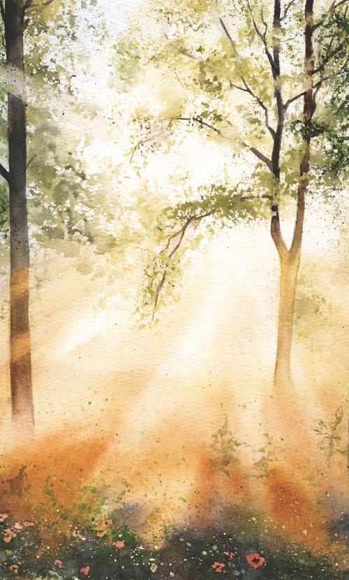 Morning Light in the Forest by Tetiana Koda
