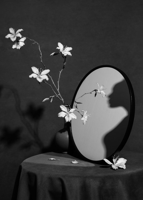Shadow in the Mirror by xidong luo