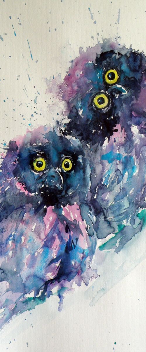 Owl chicks by Kovács Anna Brigitta