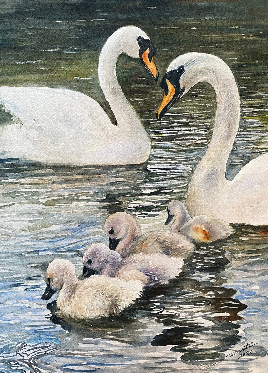 Happy Together_Swan Family by Arti Chauhan