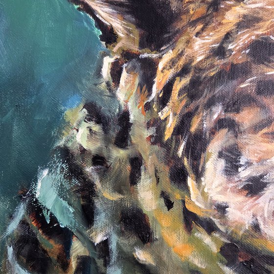 Leopard of Disdain (2025)