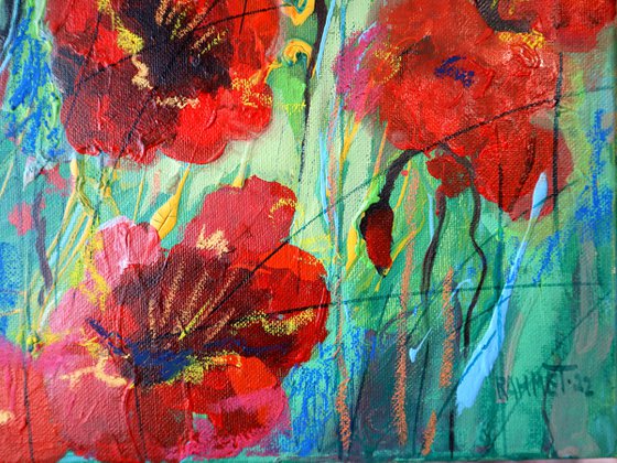 Poppies Red