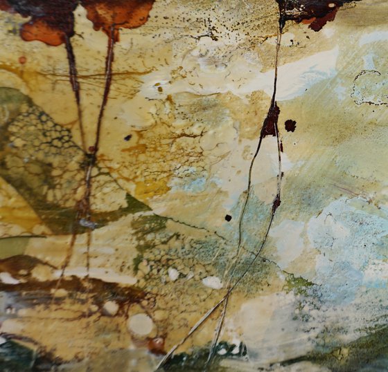 Elation I.