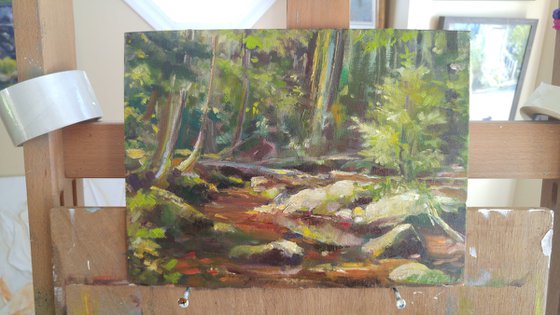 Mill Pond stream, plein air