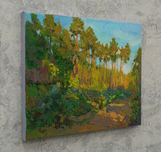 Warm evening in the forest