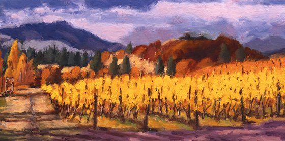 Mountain Vineyard