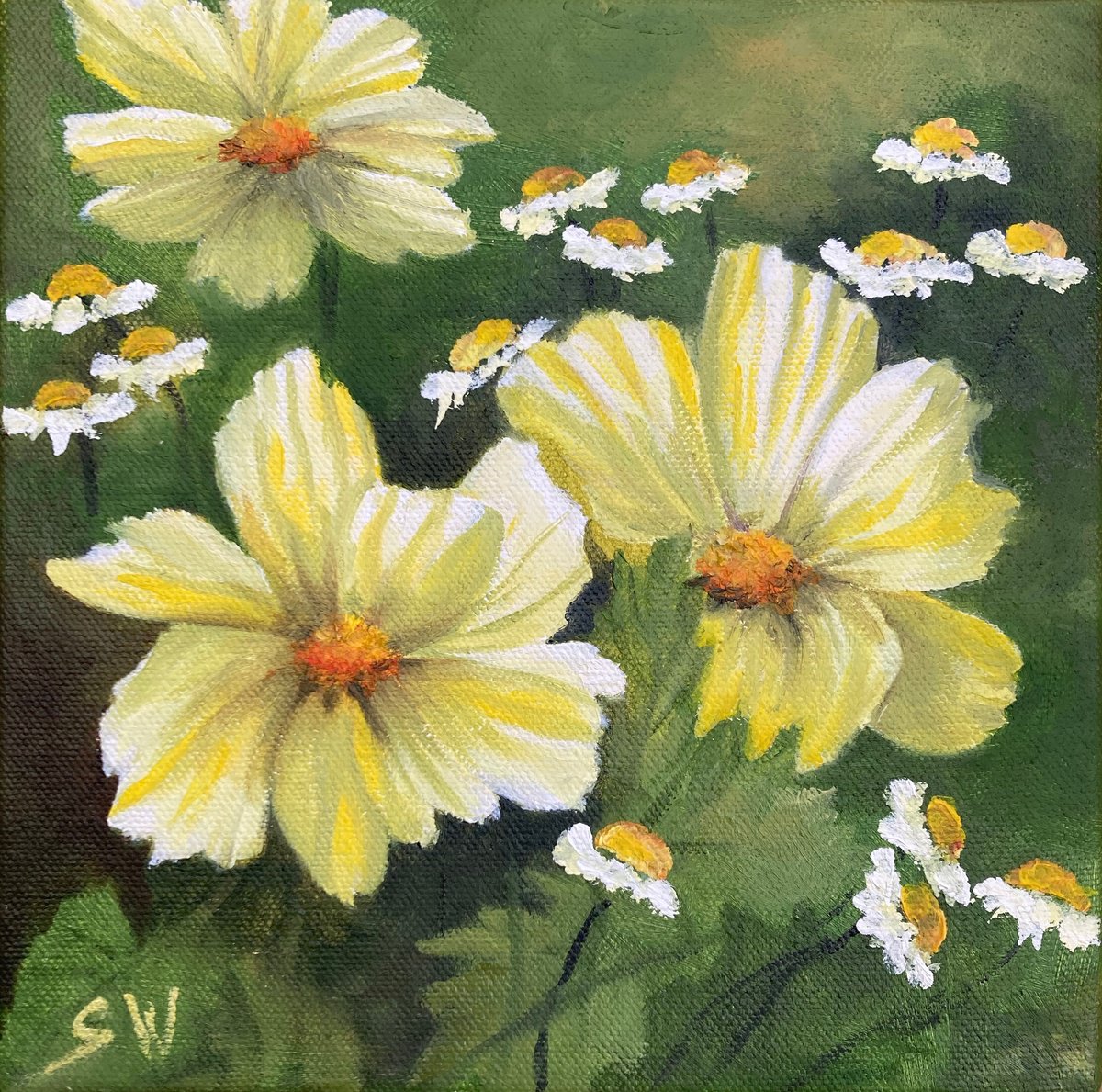 Yellow Cosmos by Silvie Wright