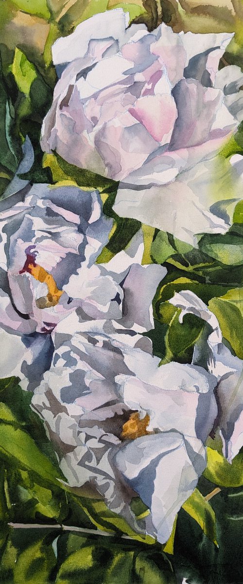 WHITE PEONIES #9 by Yurii Pashkov