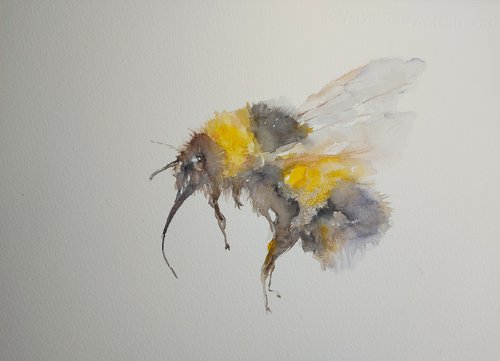 Bee watercolour by Sue  Green
