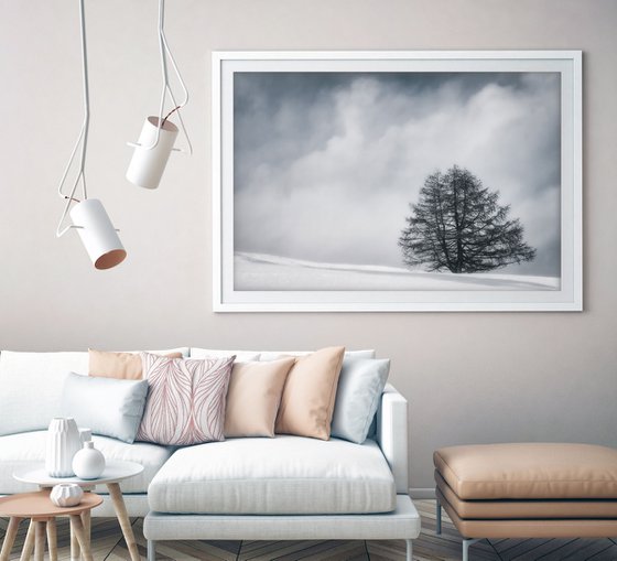 White Italian Scape #9