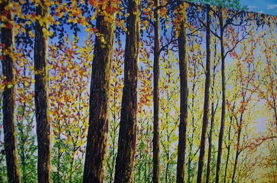 Forest Glow