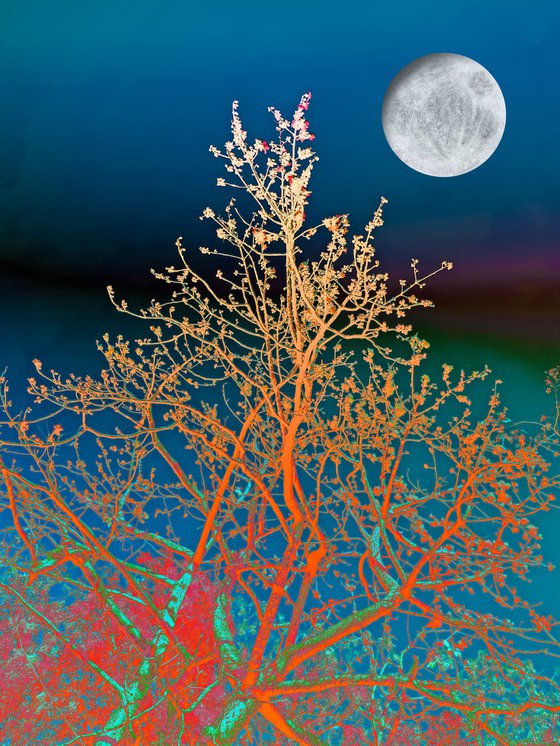 Full moon flora