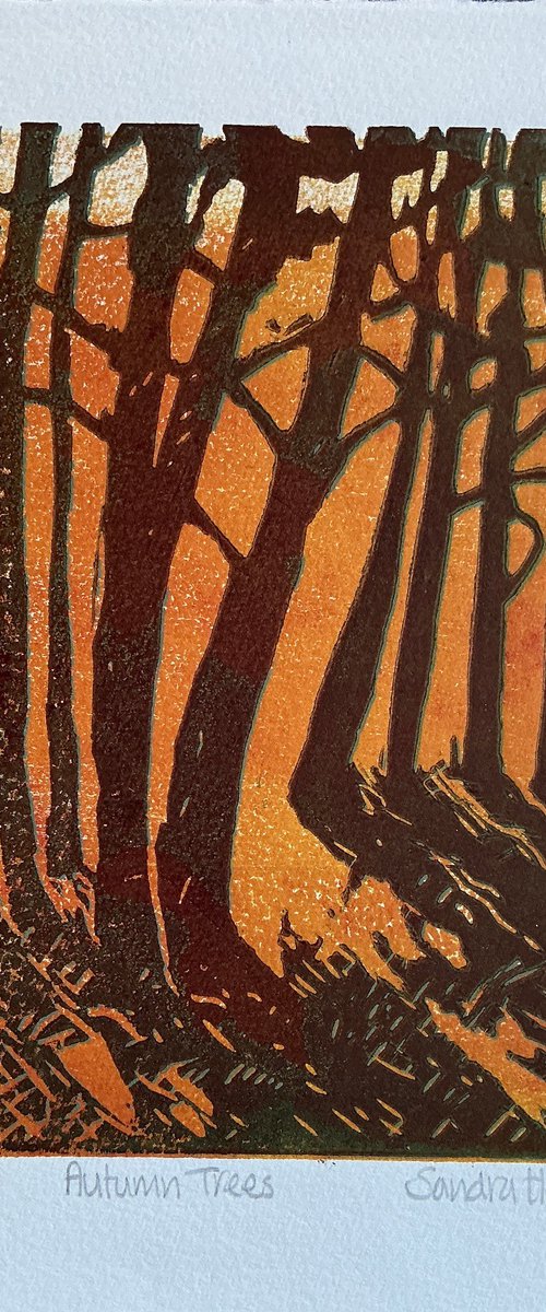 Autumn trees by Sandra Haney