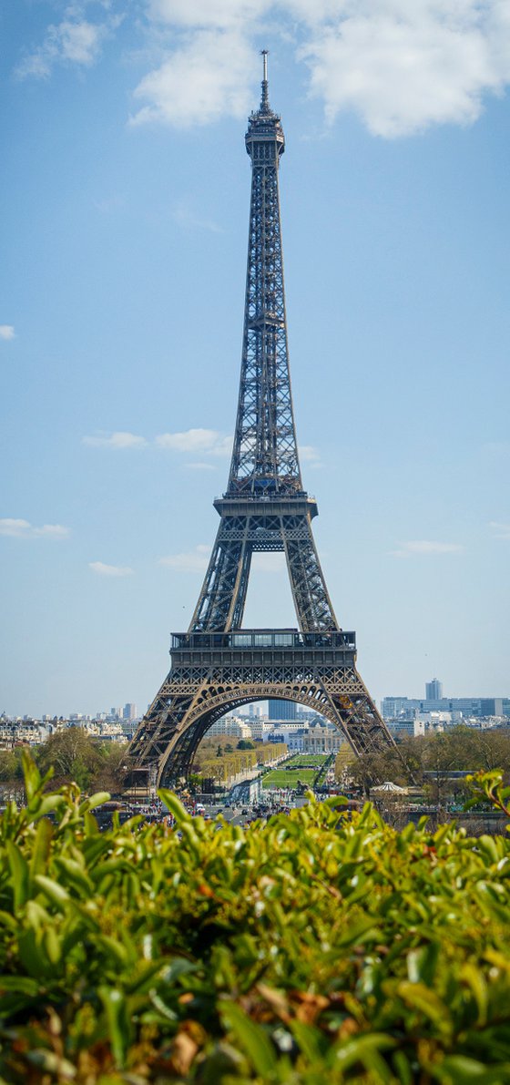 La Eiffel Tower   8" X 12"  1/20