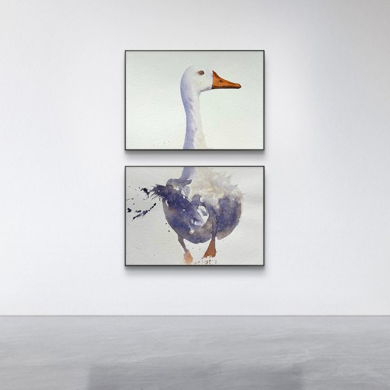 Curious duck White long neck
