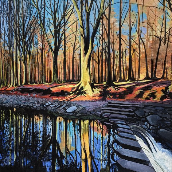 Stepping Stones On The Shimna