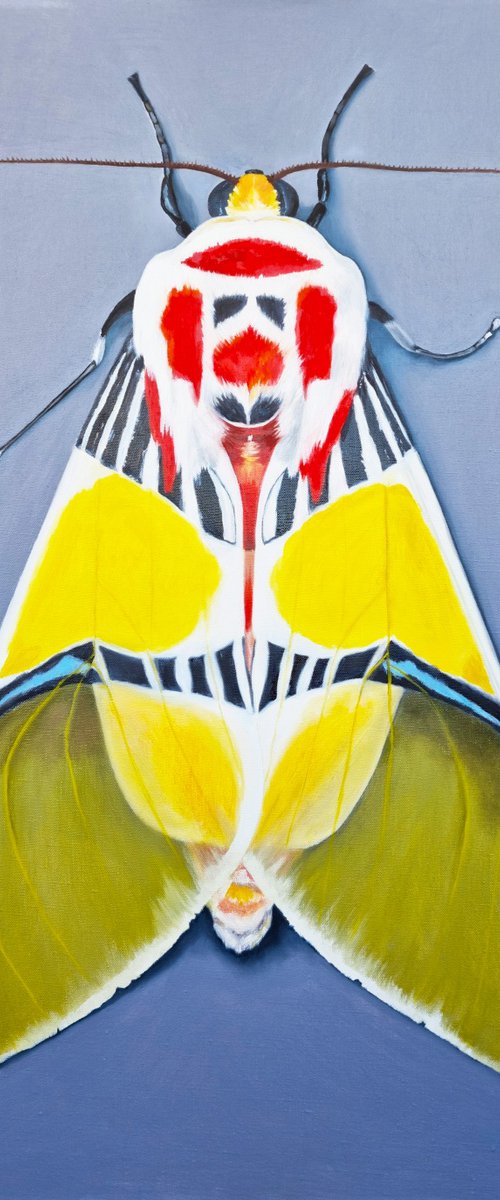 Tiger moth with Clown face by Zulfiya Mukhamadeyeva