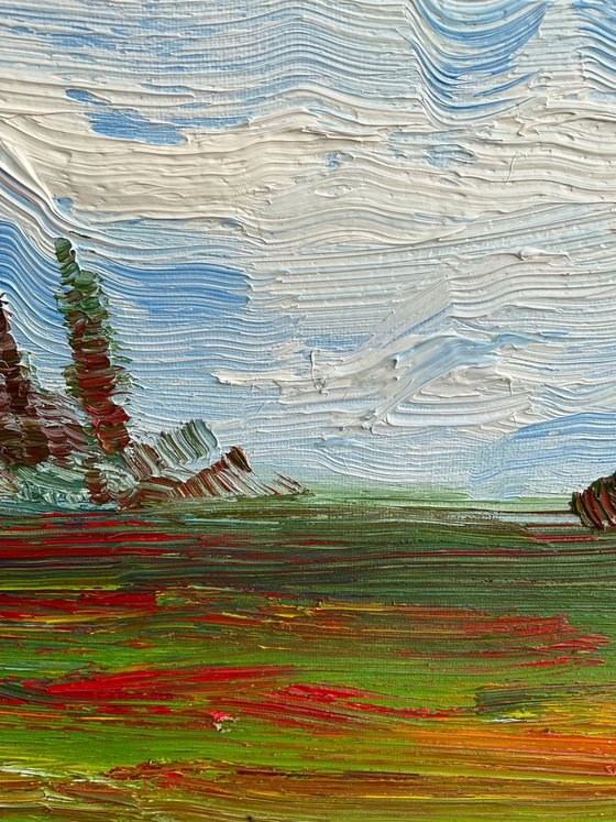 Clouds and field