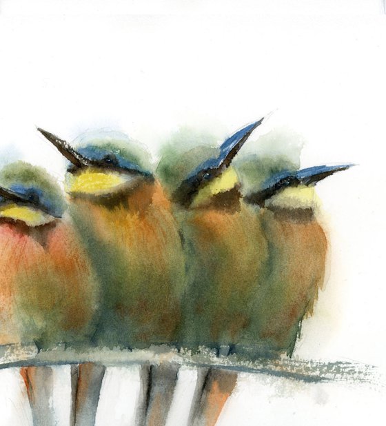 Four bee-eater birds on a branch