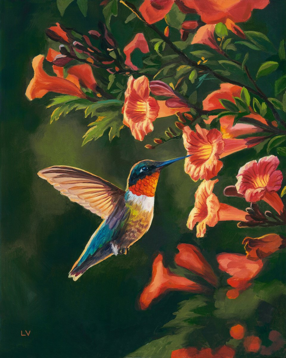 Photorealistic Oil Painting , Hummingbird With Trumpet Vine By Lucia Verdejo, 11 X 9, Artwork For Sale On Artfinder