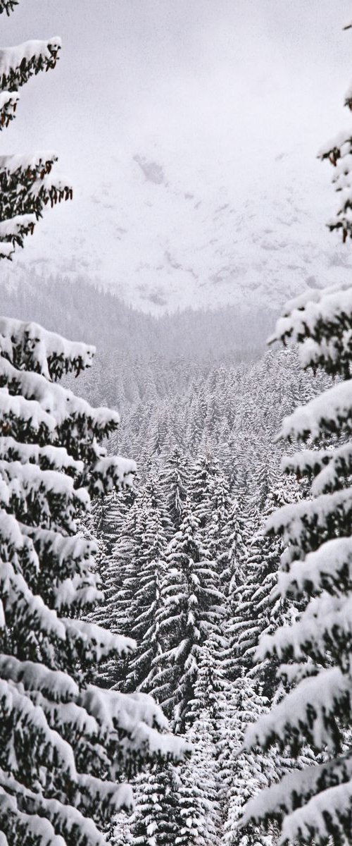 Mountains in winter by Nikola Lav Ralevic