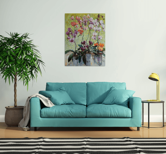 Colorful Orchids