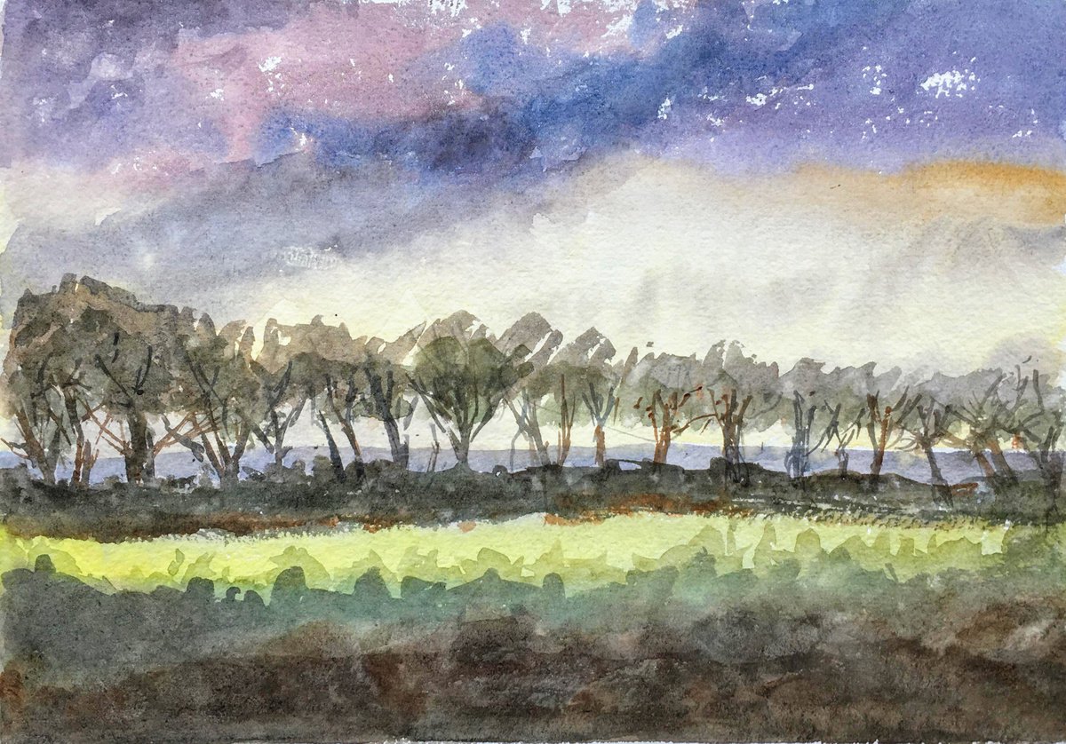 Line of trees near my studio - Watercolour painting by Julian Lovegrove Art