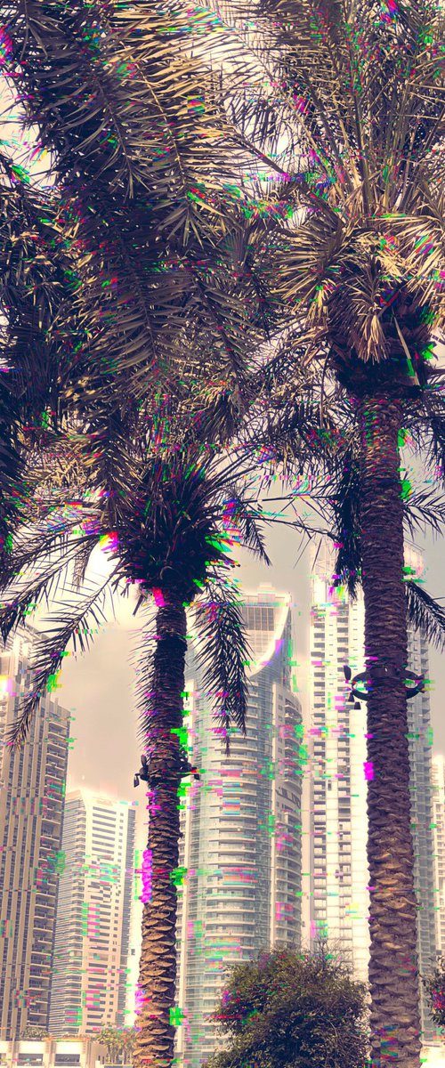 Dubai 2 by Tatiana Zappa