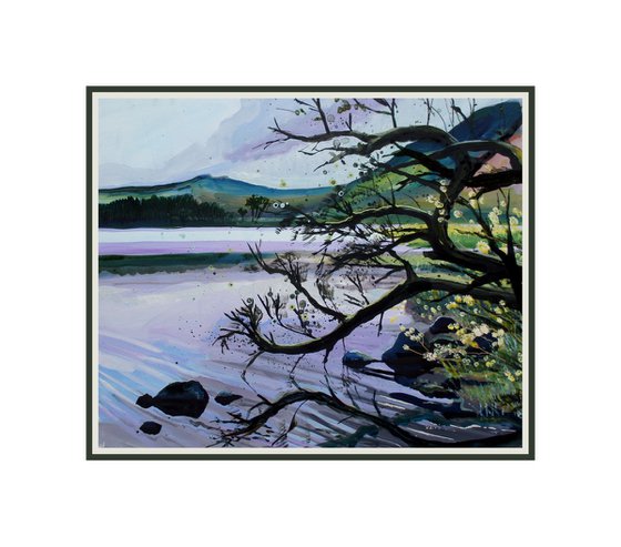 Calm Water - Grasmere (Early Spring)