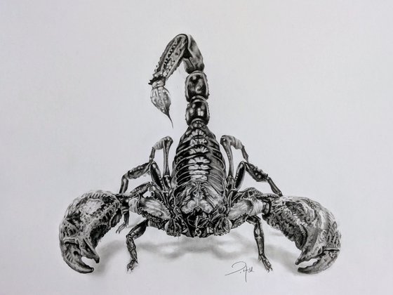 Scorpion